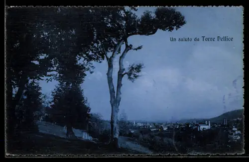 AK Torre Pellice, Veduta panoramica con alberi e città sullo sfondo