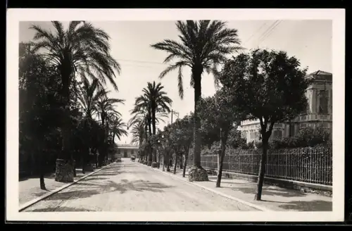 AK Genova-Nervi, Viale delle Palme