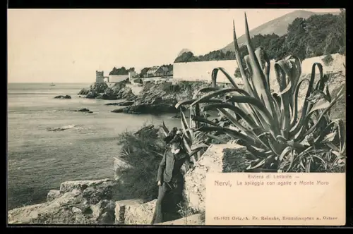 AK Nervi /Riviera di Levante, La spiaggia con agave e Monte Moro