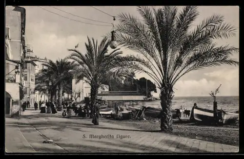 AK S. Margherita Ligure, Passeggiata con palme e vista sul mare