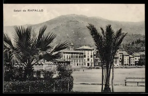 AK Rapallo, Vista del lungomare con palme e montagne sullo sfondo