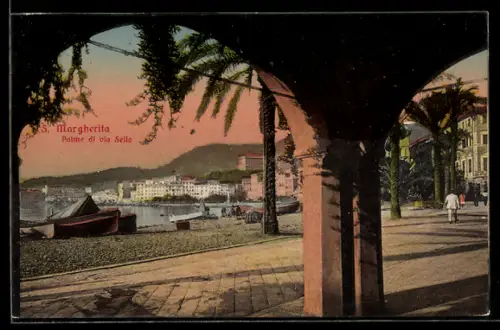 AK Santa Margherita Ligure, Palme di via Sella