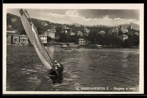AK S. Margherita L., Regate a vela