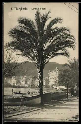 AK S. Margherita, Strand Hôtel con palme e vista sul mare