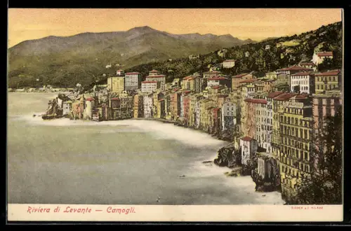 AK Camogli /Riviera di Levante, Veduta panoramica