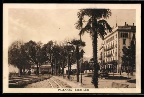 AK Pallanza, Lungo Lago con palme e edificio storico