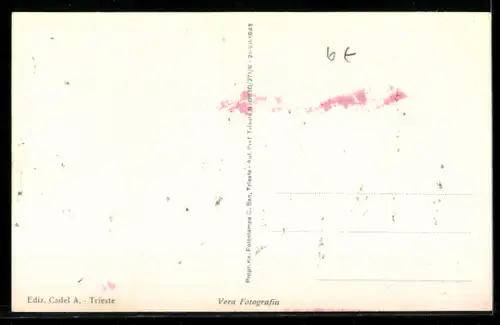 AK Trieste, Piazza C. Goldoni con tram e edifici storici