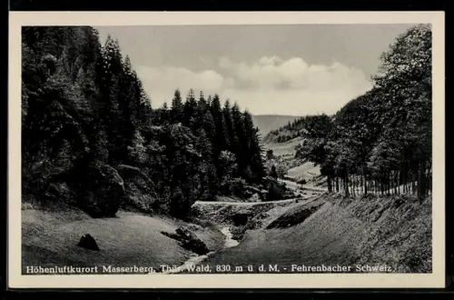 AK Masserberg /Thür. Wald, Fehrenbacher Schweiz