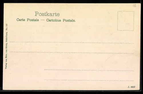 AK Rüdesheim, Brömserburg, Uferpromenade, Boote