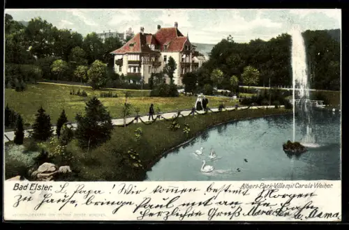 AK Bad Elster, Albert-Park-Villa, Carola-Weiher