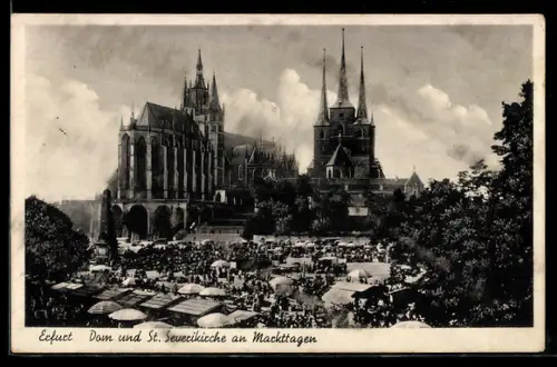 AK Erfurt, Dom und St. Severikirche an Markttagen