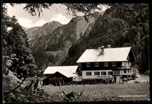 AK Hinterstein, Gasthof Giebelhaus, Bergpanorama