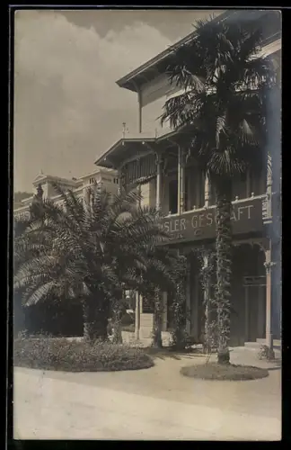 AK Abbazia, Strassenpartie vor einem Geschäft mit Palmen