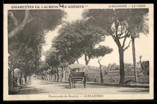 AK Alexandria, Promenade de Ramleh