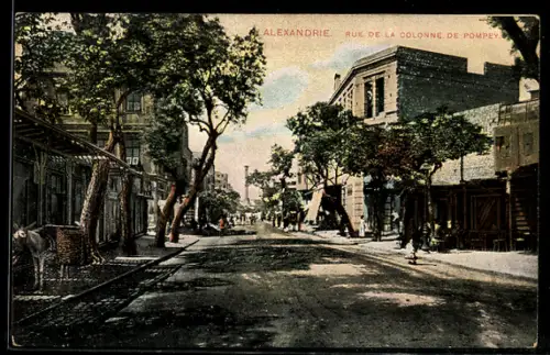 AK Alexandrie, rue de la Colonne de Pompey