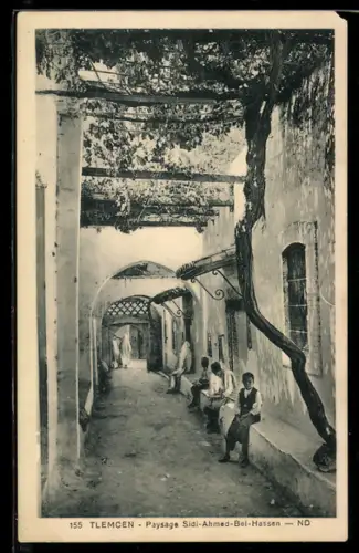 AK Tlemcen, Paysage Sidi-Ahmed-Bel-Hassen