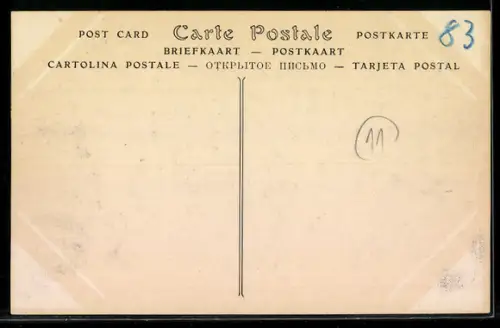 AK Tolga, Une Rue, Strassenleben