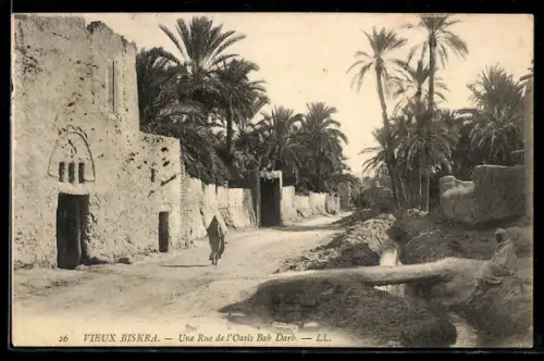 AK Biskra, Une rue de l`Oasis Bab-Darb, Palmiers-Dattiers
