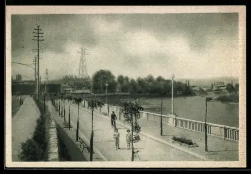 AK Casale Monferrato, Viale Lungo Po con pedoni e ciclisti