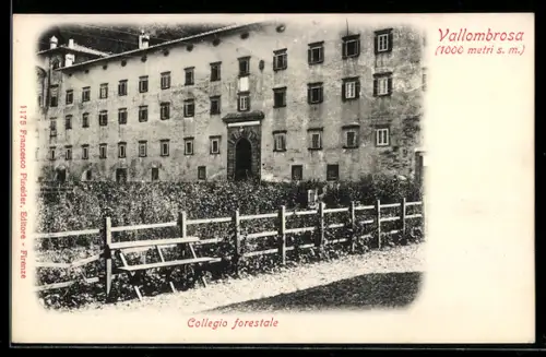 AK Vallombrosa, Collegio forestale