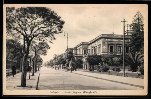 AK Catania, Viale Regina Margherita con alberi e edifici storici