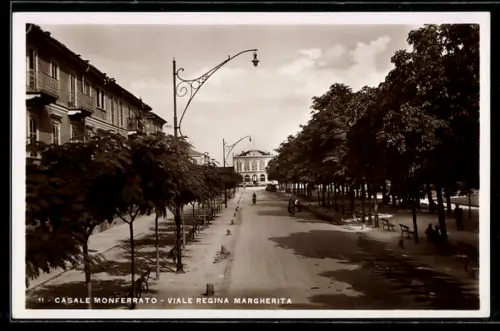 AK Casale Monferrato, Viale Regina Margherita mit Bäumen und Strassenlaternen