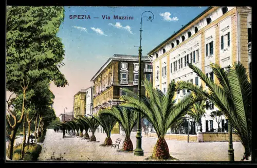 AK Spezia, Via Mazzini con palme e edifici storici