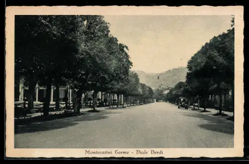 AK Montecatini Terme, Viale Verdi con alberi e auto in lontananza