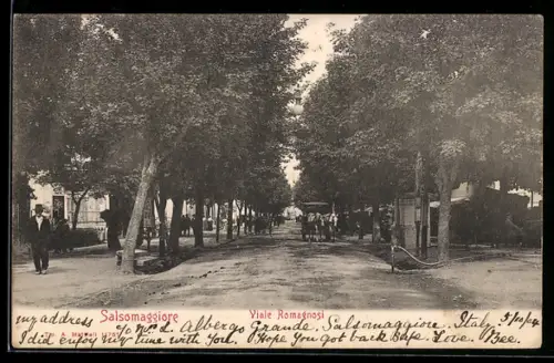AK Salsomaggiore, Viale Romagnosi con alberi e passanti