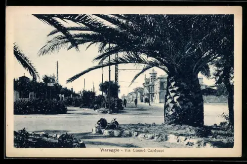 AK Viareggio, Via Giosuè Carducci con palme e edifici sullo sfondo