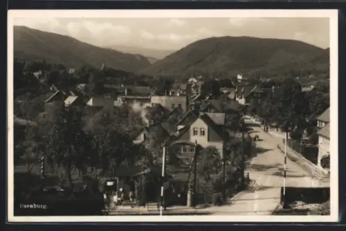 AK Ilsenburg /Harz, Strasse aus der Vogelschau