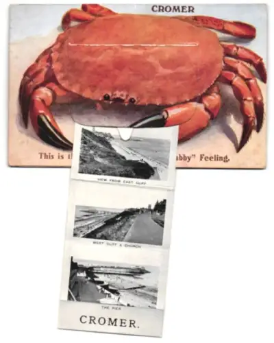 Leporello-AK Cromer, West Promenade, West Cliff, East Promenade