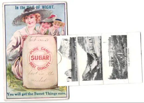 Leporello-AK Ventnor, View from Sea, Whippingham Church, The Needes, The Cascade