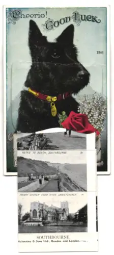 Leporello-AK Southbourne, Portman Ravine, Cliffs and Bay, The Promenade, Priory Church, Cliff Walks