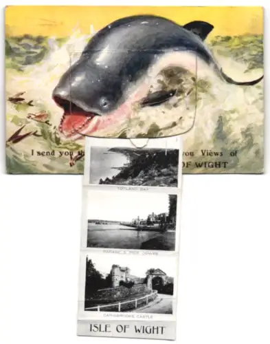 Leporello-AK Isle of Wight, Esplanade at Rye, Old Church at Bonchurch, Sandown, The Needles, Alum Bay