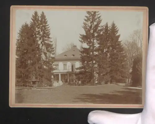 Fotografie Ansicht Zürich, Partie im Belvoirpark mit Villa und umgebenden Bäumen