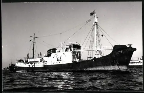 Fotografie Sowjetisches Walfangboot Gumannyi von 1959 mit Bootsnummer 44 vor Anker liegend