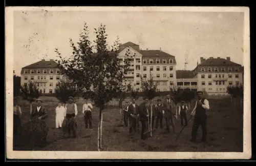 AK Prosecné, Sanatorium pro lécení plícnich chorob, Lecba prací