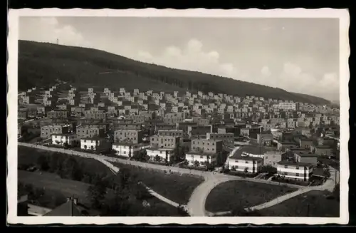 AK Zlín, Batovy Kolonie