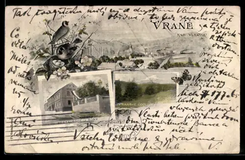 AK Vrane nad Vltavou, Panorama, Restaurace J. Sury, Vranske udoli