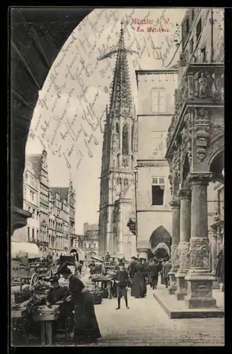 AK Münster i. W., Partie am Weinhaus