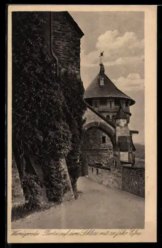 AK Wernigerode, Partie auf dem Schloss mit 300-jähr. Efeu