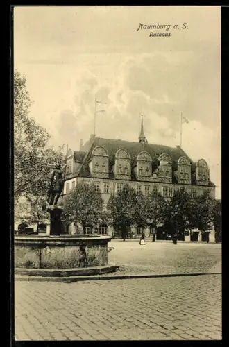 AK Naumburg a. S., Rathaus und Brunnen