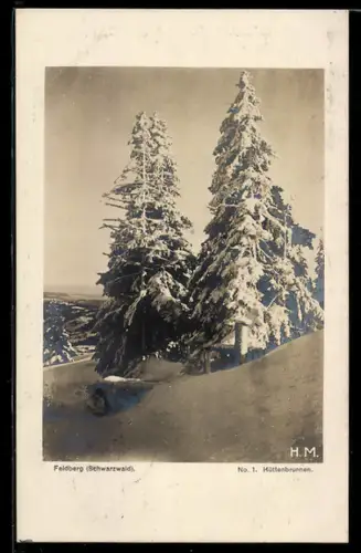 AK Feldberg /Schwarzwald, Verschneite Tannen auf der Höhe