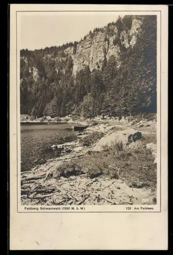 AK Feldberg /Schwarzwald, Partie am Feldsee