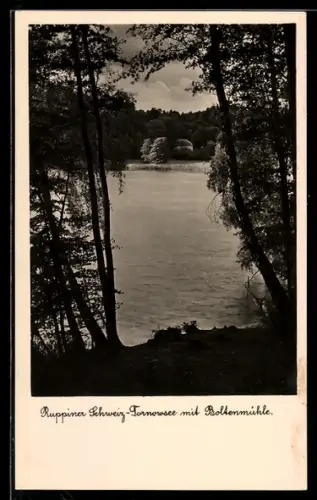 AK Boltenmühle /Ruppiner Schweiz, Uferpartie am Tornowsee