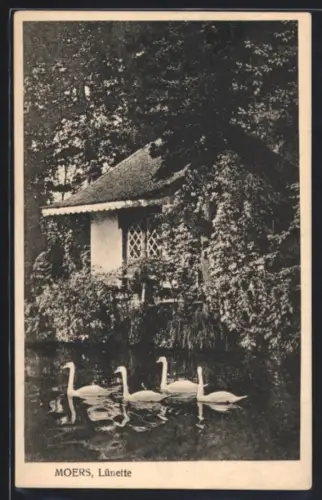 AK Moers, Lünette, Schwäne u. Gebäude