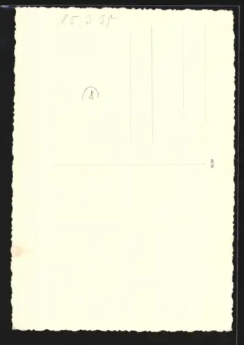 AK Wernigerode, Rathaus mit Brunnen