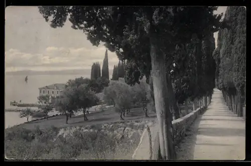 AK Punta San Vigilio /Gardasee, Partie in der Cypressenallee mit Ausblick auf den See