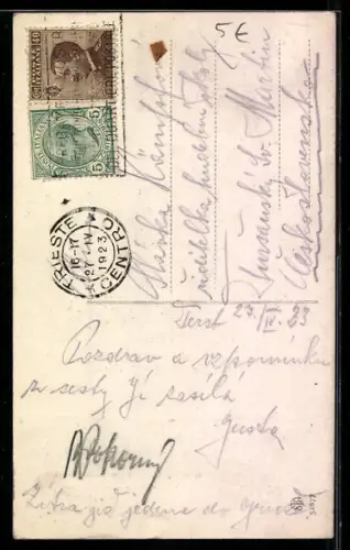 AK Trieste /Miramare, Parco